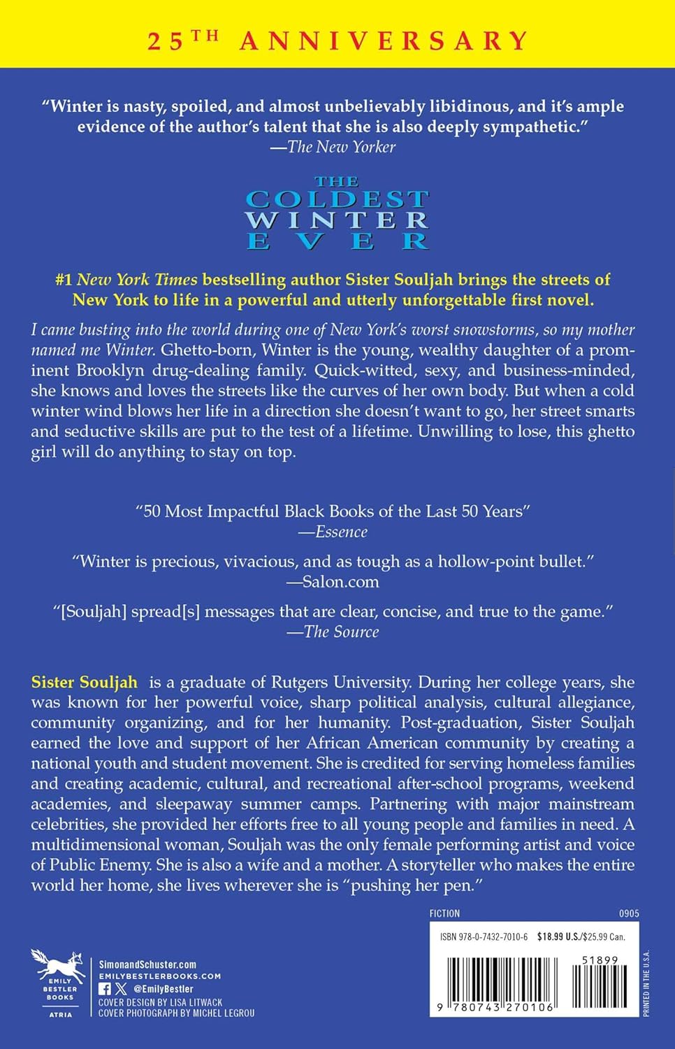 The Coldest Winter Ever: A Novel (1) (The Winter Santiaga Series)