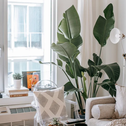 Home Goods